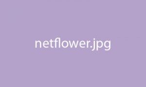 Netflower